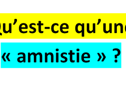 Qu’est-ce qu’une amnistie ?